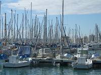 Masts in Torrevieja